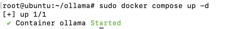 Starting the container with compose Image: Starting the container with compose