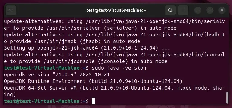 Image: Ubuntu 24.04: Check the Java version in the terminal
