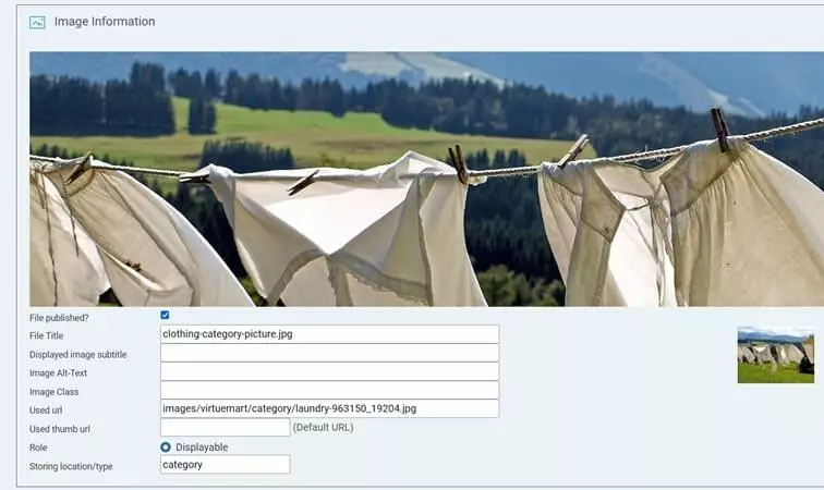Image: VirtueMart Joomla store: Define image information for category picture