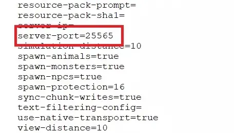 Minecraft server: Snippet of server.properties file Image: Minecraft server: Snippet of server.properties file