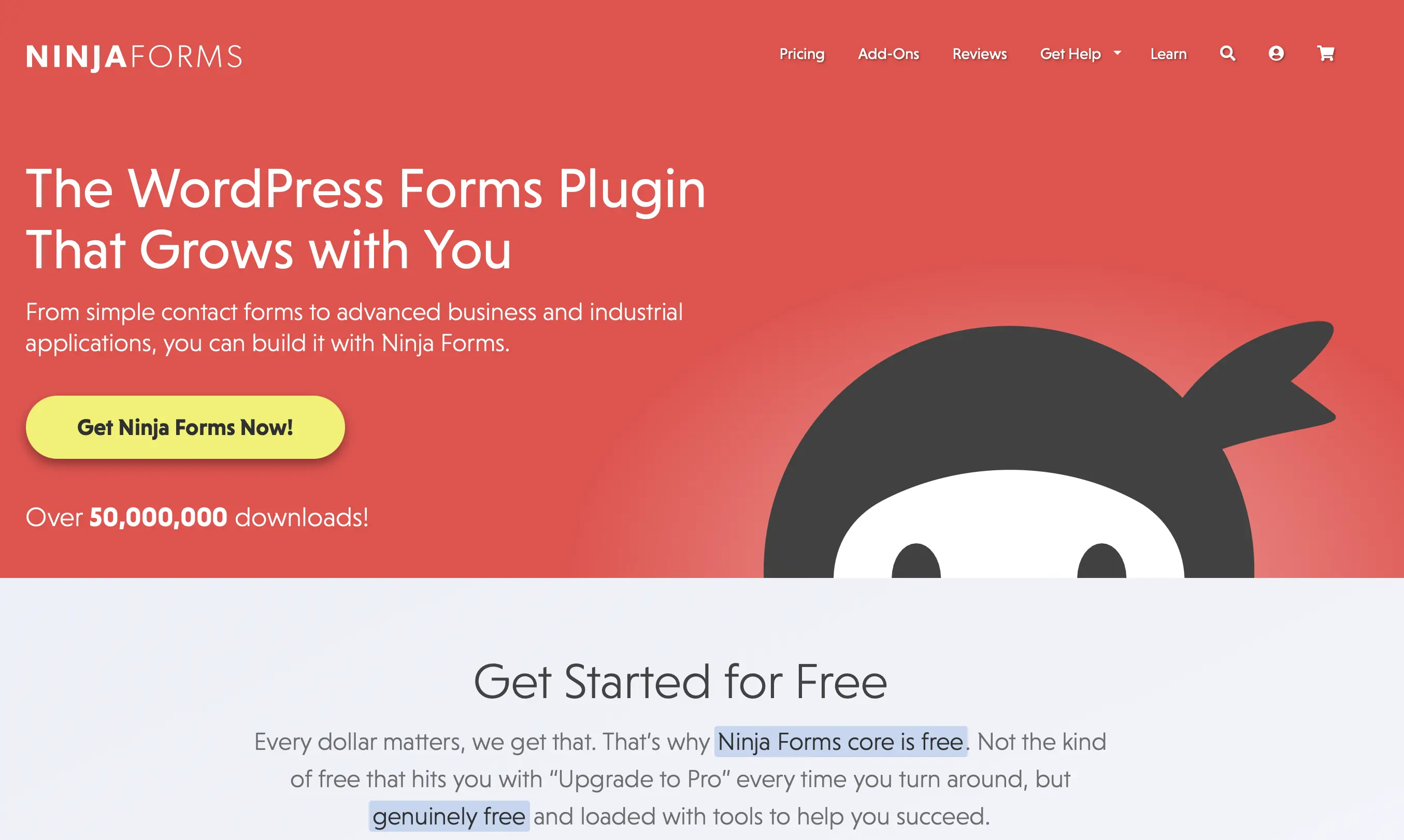 Website of WordPress plugin Ninja Forms Image: Website of WordPress plugin Ninja Forms