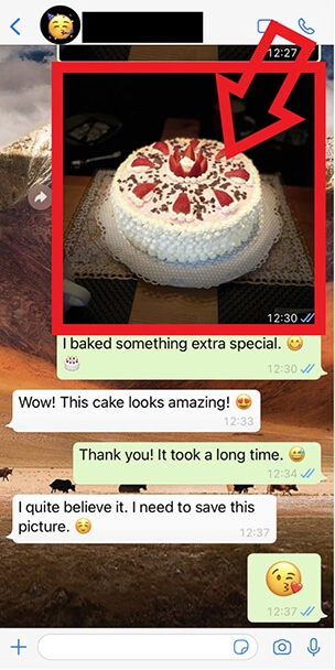 Image: iPhone screenshot of WhatsApp chat with photo of cake