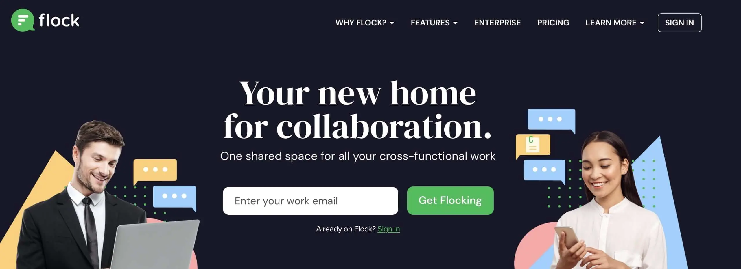 Image: Screenshot of the Flock website