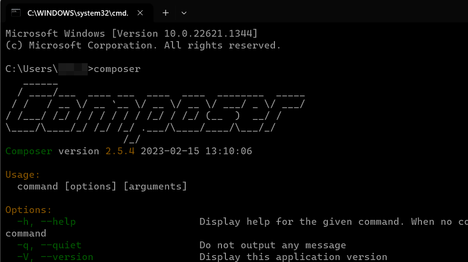 How to install Composer on Windows 11 - IONOS CA