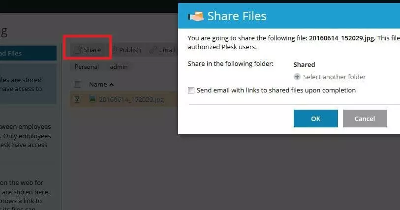 Image: Menu window for Plesk file sharing