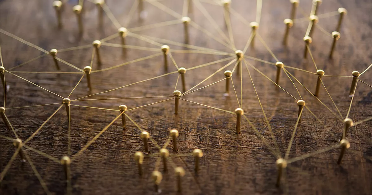 What is a web crawler: how these data spiders optimize the internet