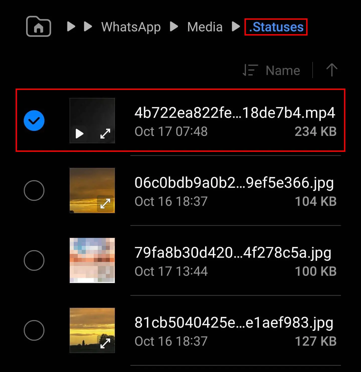 Image: The selected WhatsApp status video can be found in the .Statuses folder.