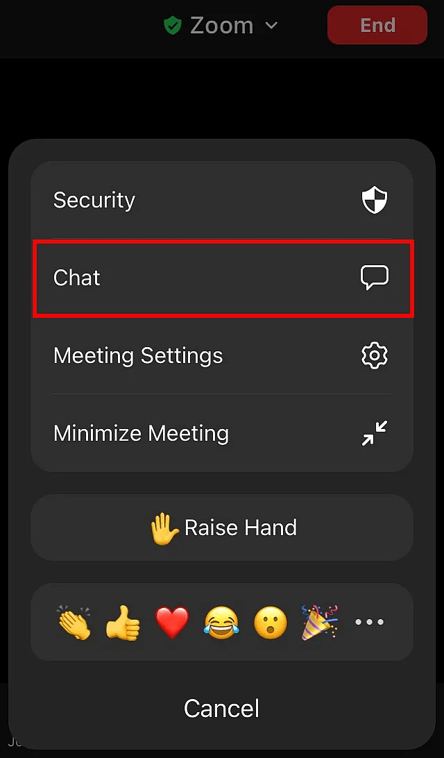 Chat feature in the Zoom mobile app Image: Chat feature in the Zoom mobile app