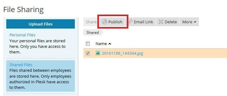 Image: “Shared Files” menu