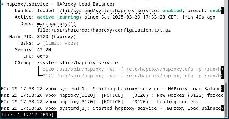 Image: Screenshot of the current HAProxy status in the terminal