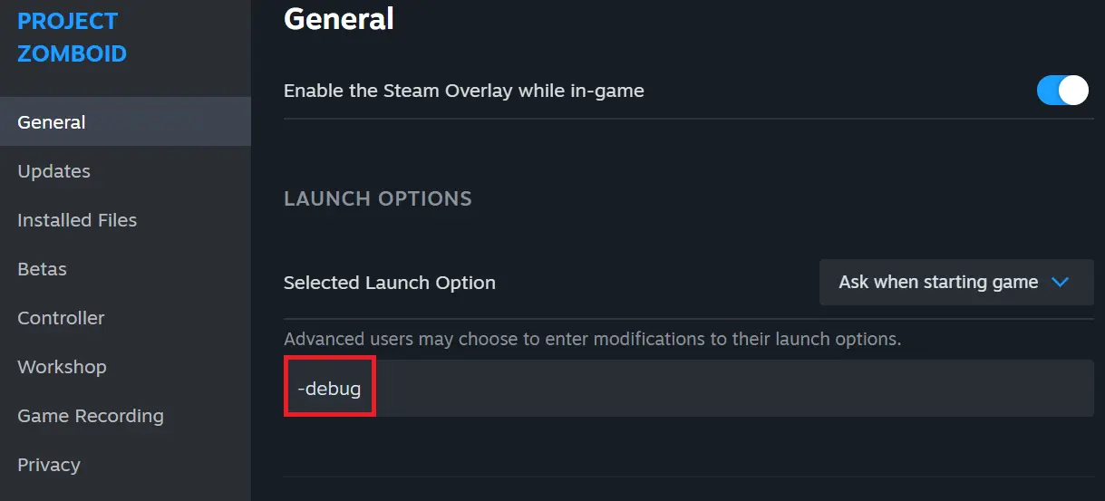 Debug entry in the Steam start options Image: Debug entry in the Steam start options