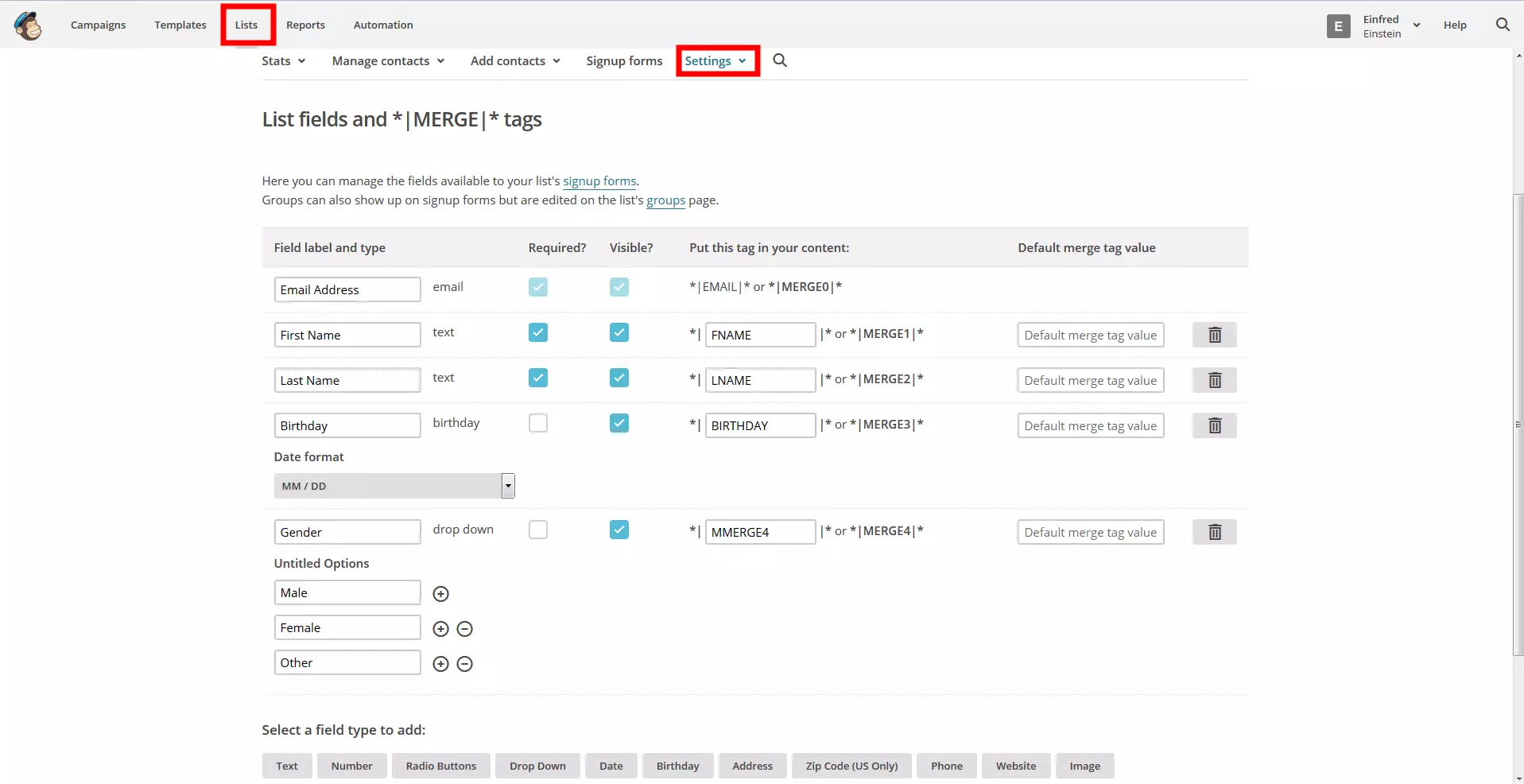 Image: Overview of the list fields in MailChimp