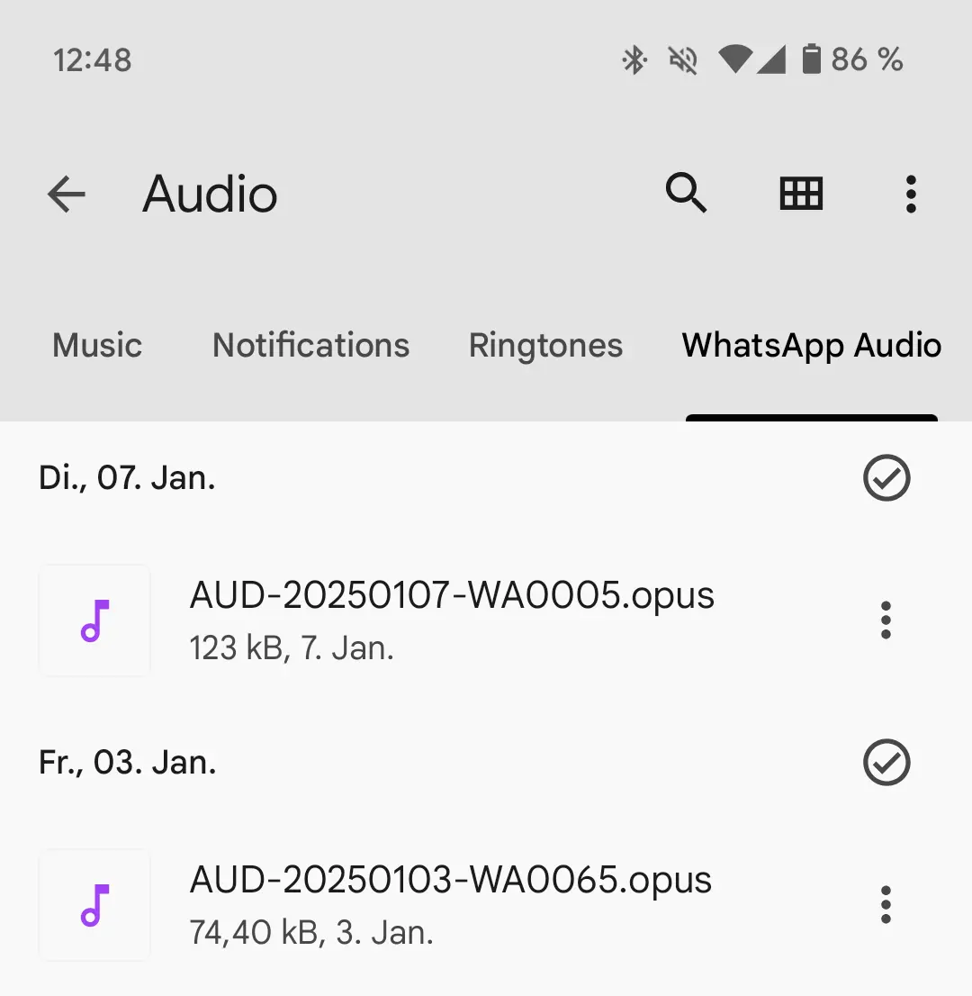 Android screenshot of the “WhatsApp Audio” subfolder Image: Android screenshot of the “WhatsApp Audio” subfolder