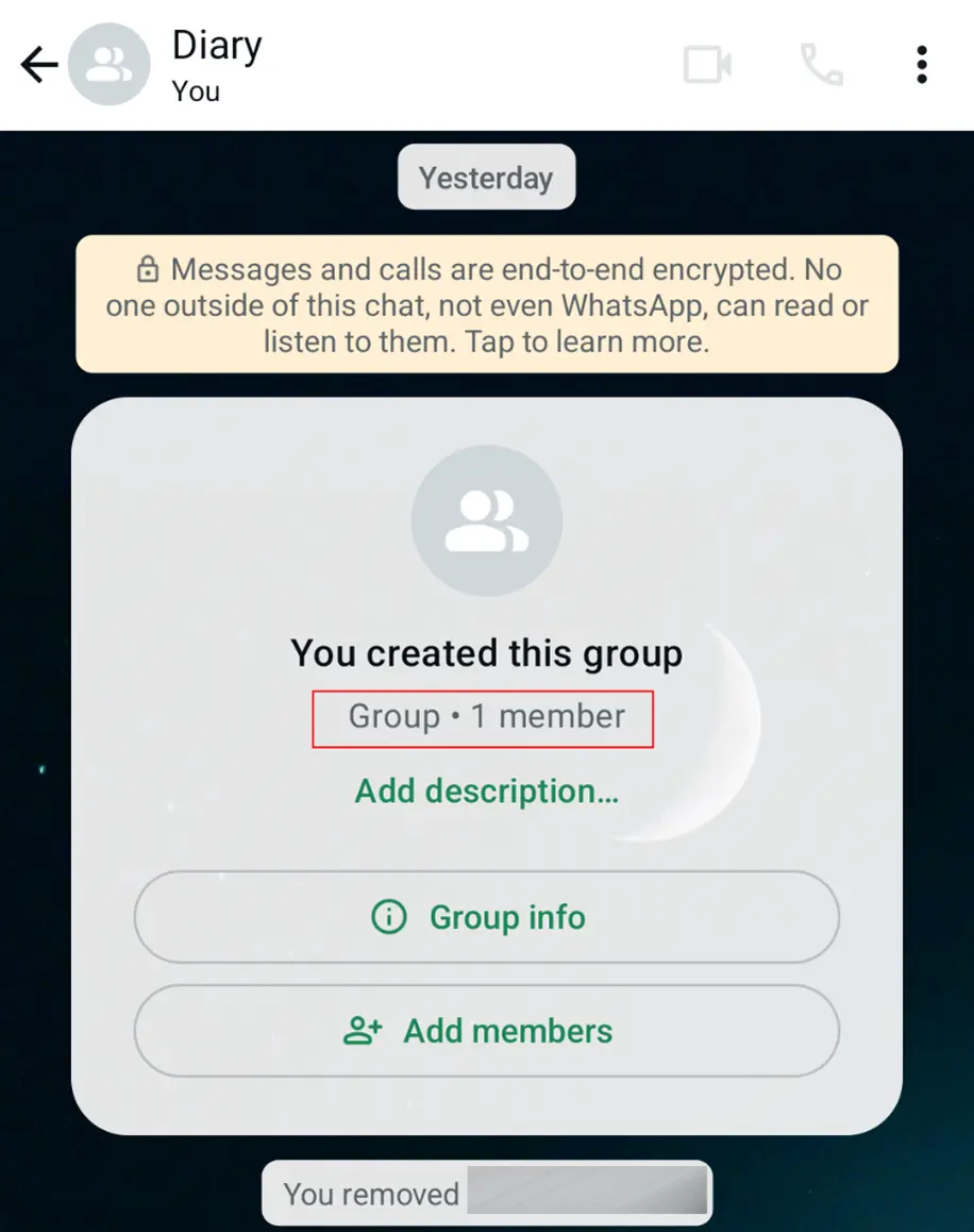 Android screenshot of a private diary in WhatsApp Image: Android screenshot of a private diary in WhatsApp