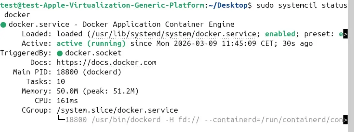 Display of the Docker status Image: Display of the Docker status