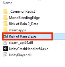 Image: Screenshot of the Risk of Rain 2.exe file