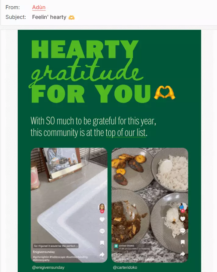 Example of a newsletter with customer comments from Adùn Image: Example of a newsletter with customer comments from Adùn