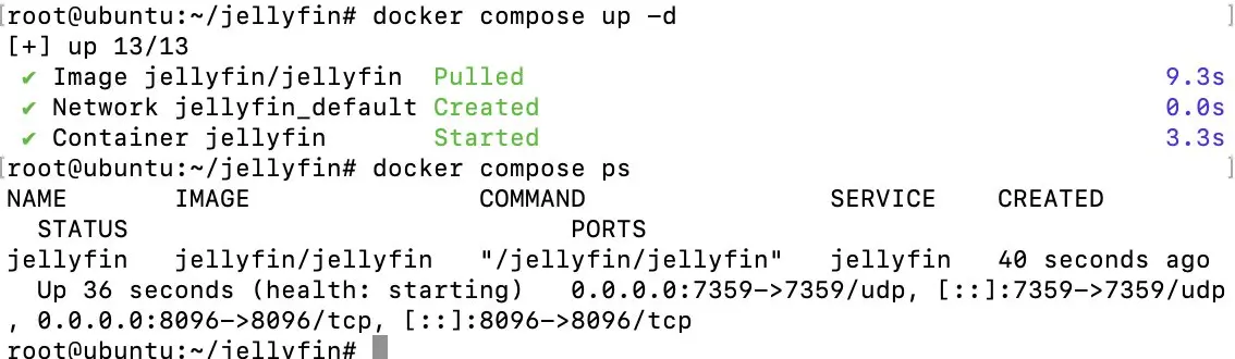 Display after Docker compose Image: Display after Docker compose