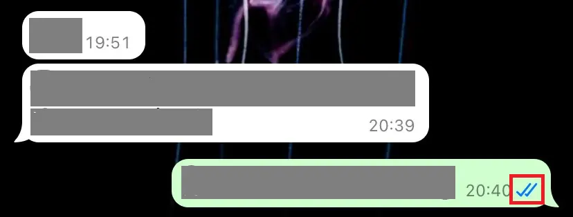 Screenshot of a sent message status on WhatsApp Image: Screenshot of a sent message status on WhatsApp