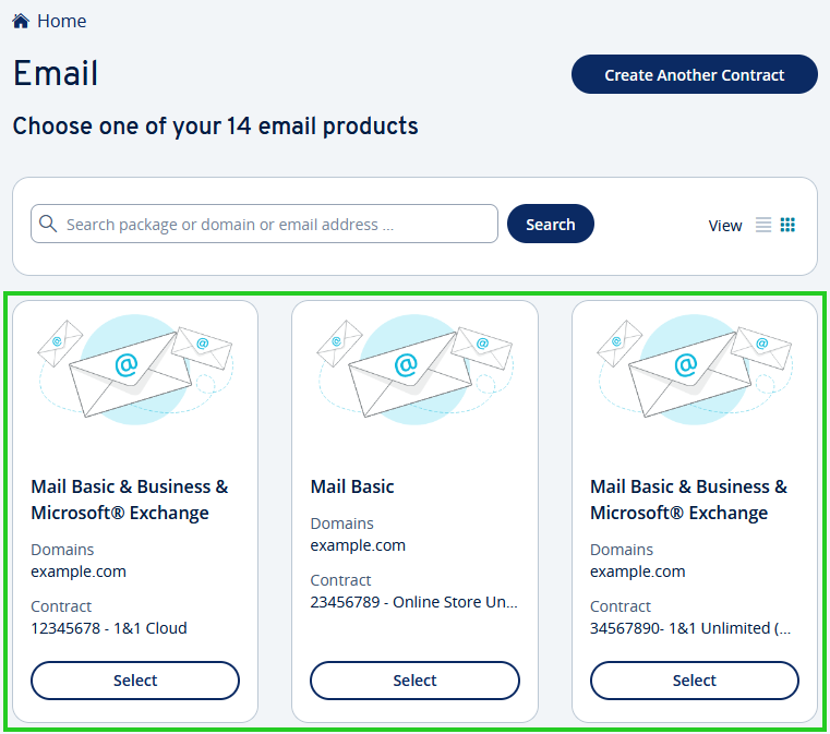The Email page of the IONOS account with some example email contracts highlighted.