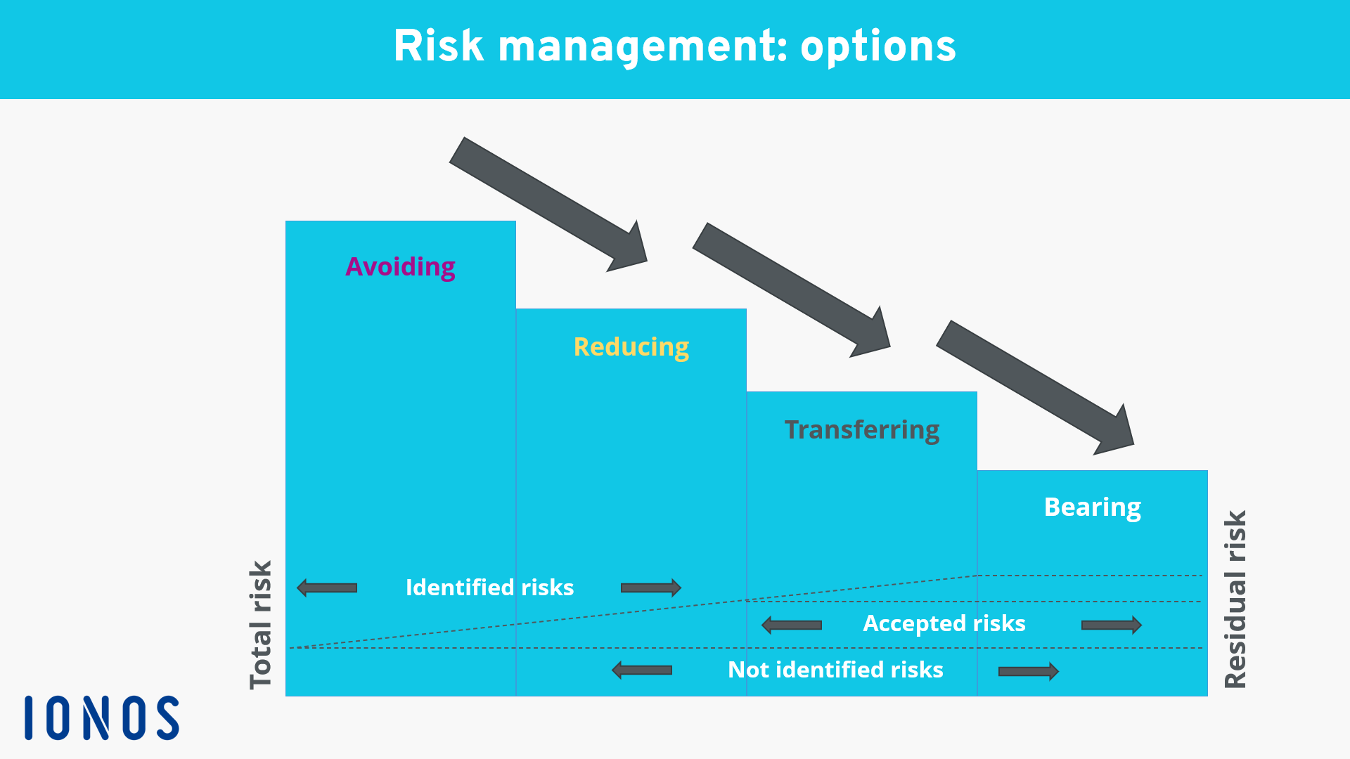 Chart of options for risk control strategies