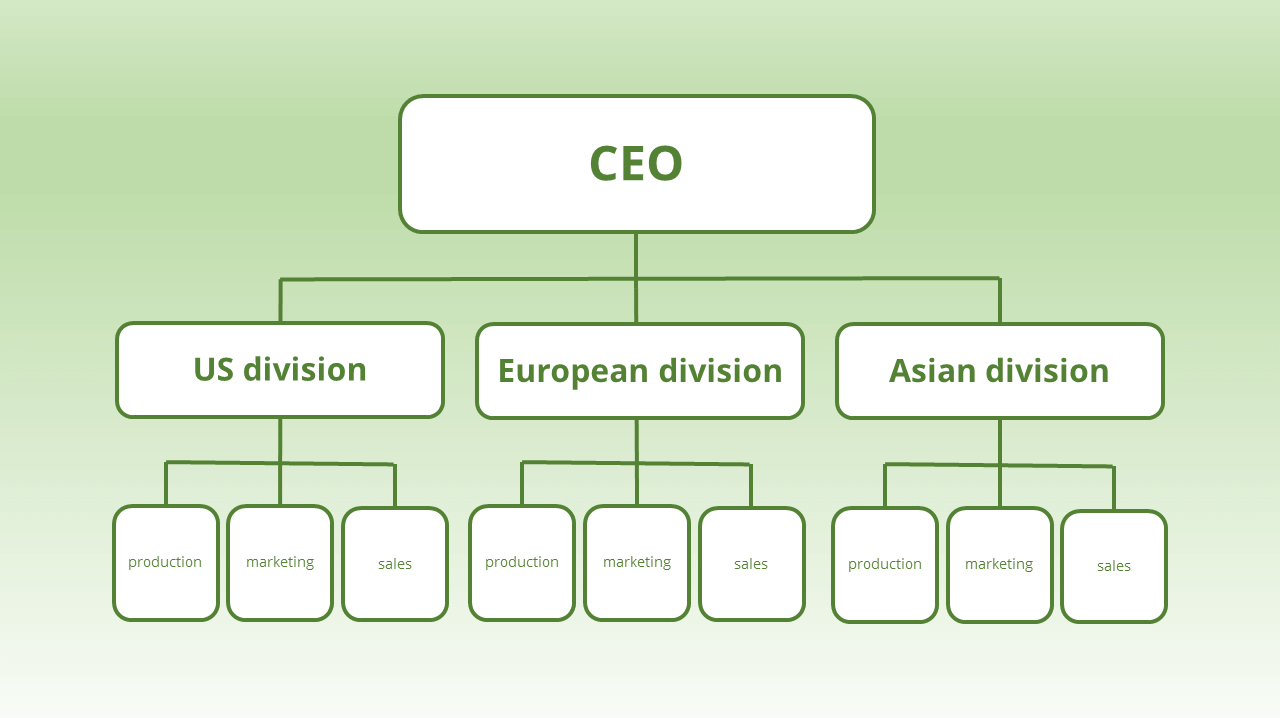 Example of a divisional organizational structure.