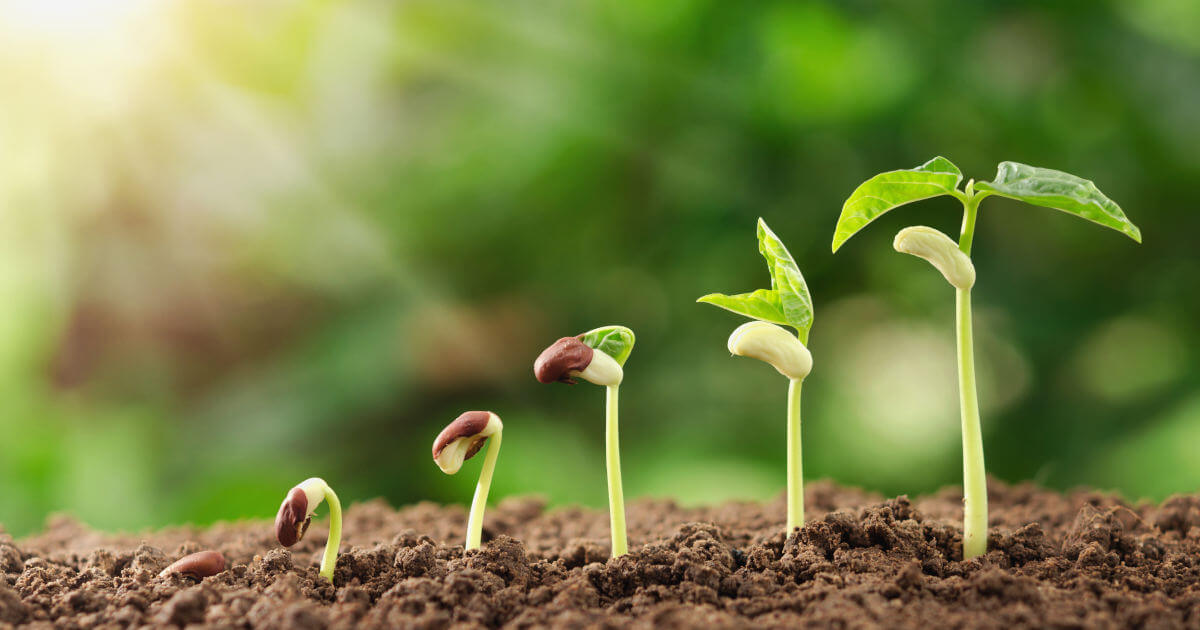 ISO 14001