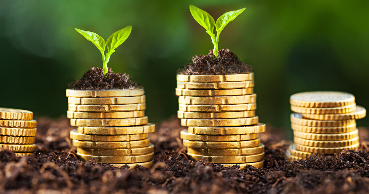 Creating a web store: the cornerstone of seed money